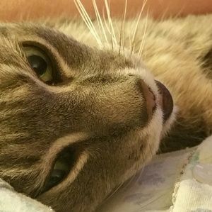 Meet your Posher, Joanne